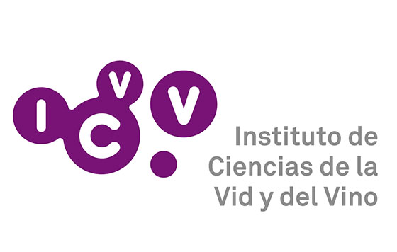 ICVV Logo